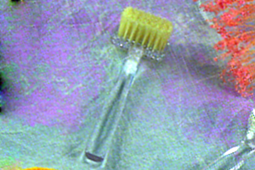 Facial Brush (Natural Bristles)