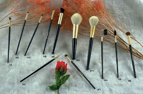 Professional Makeup Brushes